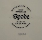 Woodland Spode Mallard 10  Square Serving Tray