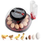 12 Egg Incubator For Hatching Eggs W automatic Egg Turning Built-in Led Candler