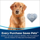 Bissell Proheat 2x Revolution Pet Pro Plus Carpet Cleaner New Freeship