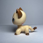 Lps Hasbro Cream Yellow Heart Shorthair Cat  3573 - Authentic Littlest Pet Shop