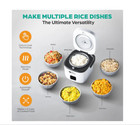 Rice Robot  Ceramic Nonstick Rice Cooker  Makes 4    Cups  Free Shipping 