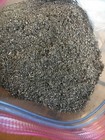 2 Lbs Steel Shavings Steel Metal Orgone Art Crafts Science Clean Dry Cut