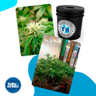 Grow Pot Original 5gal X2 Dwc Hydro Bucket Kit With Air Pump  Nutrients   More