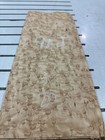 Birdseye Maple Raw Wood Veneer 10 Sheets 16   X 6 1 2   91j