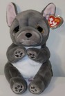 Ty Large Plush Beanie Bellies Buddy Wilfred French Bulldog Dog Medium 12  Mwmts