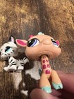 Littlest Pet Shop  saberina Sabertooth    1498  White Tiger Kitten Cat   Giraffe