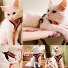 Cat Dog Harness Vest Leash Set Adjustable Mesh Walking Lead Small Medium Pet