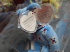Ty Beanie Baby Babies Rare Korea Flag Nose Bear Tbb Authenticated Mwmt-mq