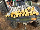 6 Pieces 1 1 2  To 3  Birch Log Set For Fireplace 18  Home Decor Rustic