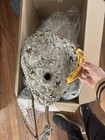 Large Natural Wasp Nest With Branches Decorative Display Boxed