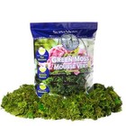 Supermoss   Preserved Green Moss  24 Qt 