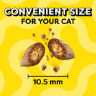 3p Temptations Classic Savory Salmon Flavor Crunchy Soft Treats For Cats  30oz