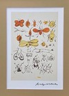     andy Warhol   Insects Signed Vintage Print Matted And Framed 
