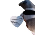 Ty Teenie Beanie Babies Antsy The Anteater Plush Toy