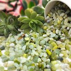 5 Lbs Jade Pebbles For Indoor Plants 1 4 Inch Polished Gravel Rocks For Plants