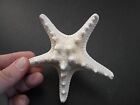 3 Large Knobby White Starfish 4 -5  Beach Cottage Wedding Decor Nautical Crafts