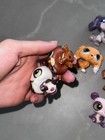 12 Pcs  Main-5 Lot Lps Petshop Authentic Littlest Pet Shop - Hasbro Lps Original
