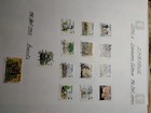 Africa - Huge Mixed Stamp Collection  Used   No Import Duties 