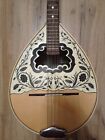 Greek Electric Bouzouki   Softcase   Pickup   300 Backing Track With Pdf Scores 
