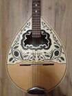 Greek Electric Bouzouki   Softcase   Pickup   300 Backing Track With Pdf Scores