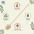 Redecker Bottle Brush Cleaner - 13-3 4-inches  Soft Horsehair 