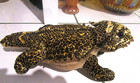 Plush Toy  2005 Zoona The Rgu Group Horned Lizard Stuffed Animal Figure