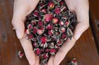 Tooget Fragrant Natural Deep Red Rose Buds Petals Organic Dried Golden-rim Rose 