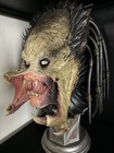 Sideshow Wolf Predator Life Size 1 1 Bust Statue