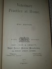  1916 Antique  Veterinary Practice At Home - Animal Disorders - Illustrated 