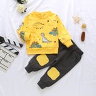 2pcs Toddler Kids Baby Boys Dinosaur Pullover Tops   Pants Outfits Clothes Set