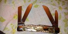 Case  84052  Congress Knife abalone 