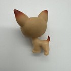 Littlest Pet Shop Chihuahua Dog  1 Lps First Made Brown Purple Eyes 2004 Hasbro