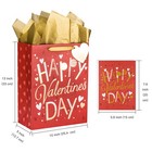 13  Large Valentine s Day Gift Bag With Card And Tissue Paper - Happy Valentine 