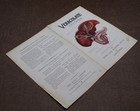 Original Booklet  1933 Veracolate A True Cholagogue