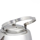 Petromax Stainless Steel Teakettle For Campfire Or Kitchen
