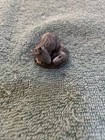 Schmid Miniature Pewter Rabbit And Baby Bunny  1 Inch Vintage 1978