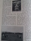Ladies Golf May Hezlet Rare Old Antique 1909 Article Open Championship Cuthell