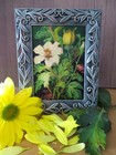 Vintage Botanical - Original Aceo Art Card Miniature Painting Print 2 5  X 3 5 