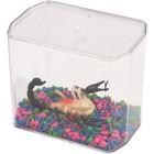 Pioneer Plastics Jbc Clear Plastic Desktop Aquarium  5 75  W X 3 75  D X 5  H