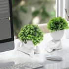 4 Packs Creative Fake Plants Artificial Succulents Plants In Ceramic