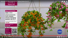 Improvements Faux Azalea Flower Hanging Basket - Set Of 2 Pick Color