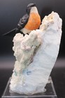Peter Muller Hand Carved Obsidian   Quartz Robin On Tourmaline Base 6 1 4 