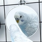 2pcs Bird Mirror Toy For Cage  10x Bird Parrot Interactive Playing Cage Toy W   