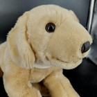Vintage Animal Alley Golden Retriever Puppy Dog Plush Stuffed Animal 1999 Medium