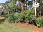 Longleaf Pine Straw Roll Landscaping Brown Uv Resistant Covers 125 Sq Ft
