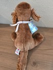 Nwt Webkinz Ganz Irish Setter Sealed Code 