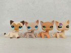 8pcs lot Lps Toys Littlest Pet Shop Short Hair Cat  Animal Figures 043