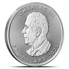 2025 1 Oz Canadian Platinum Maple Leaf Coin  bu 