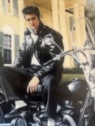 Elvis Presley Young And Wild  king Of The Road   Bradford Exchange Plate 1993