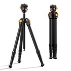 60  Carbon Fiber Travel Tripod For Camera - Ultra-light  360   Pan tilt  Arca Qr